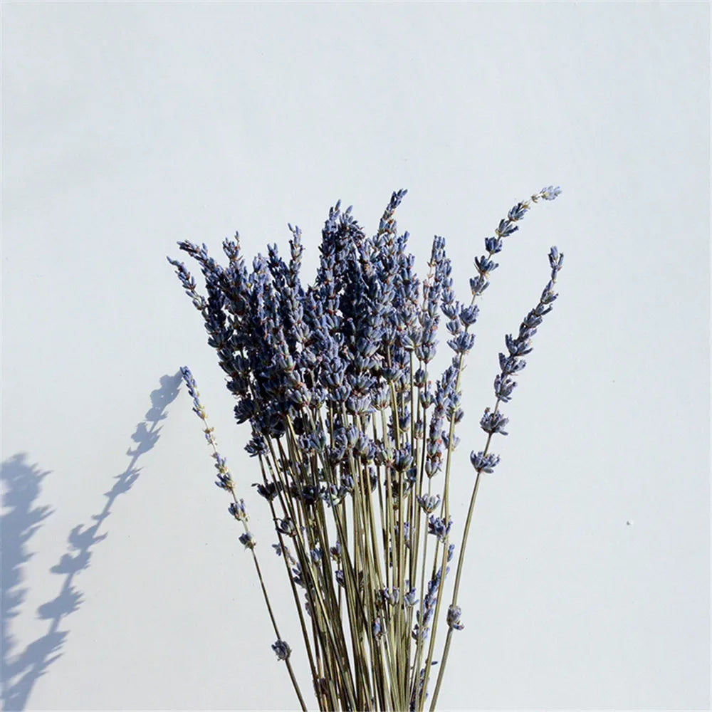 Gedroogde Lavendel Bundel Natuurlijk Paars 40cm Decoratief Interieur Aromatisch Rustgevend