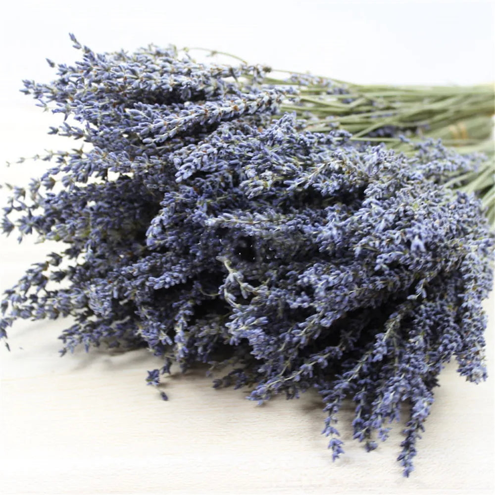 Gedroogde Lavendel Bundel Natuurlijk Paars 40cm Decoratief Interieur Aromatisch Rustgevend