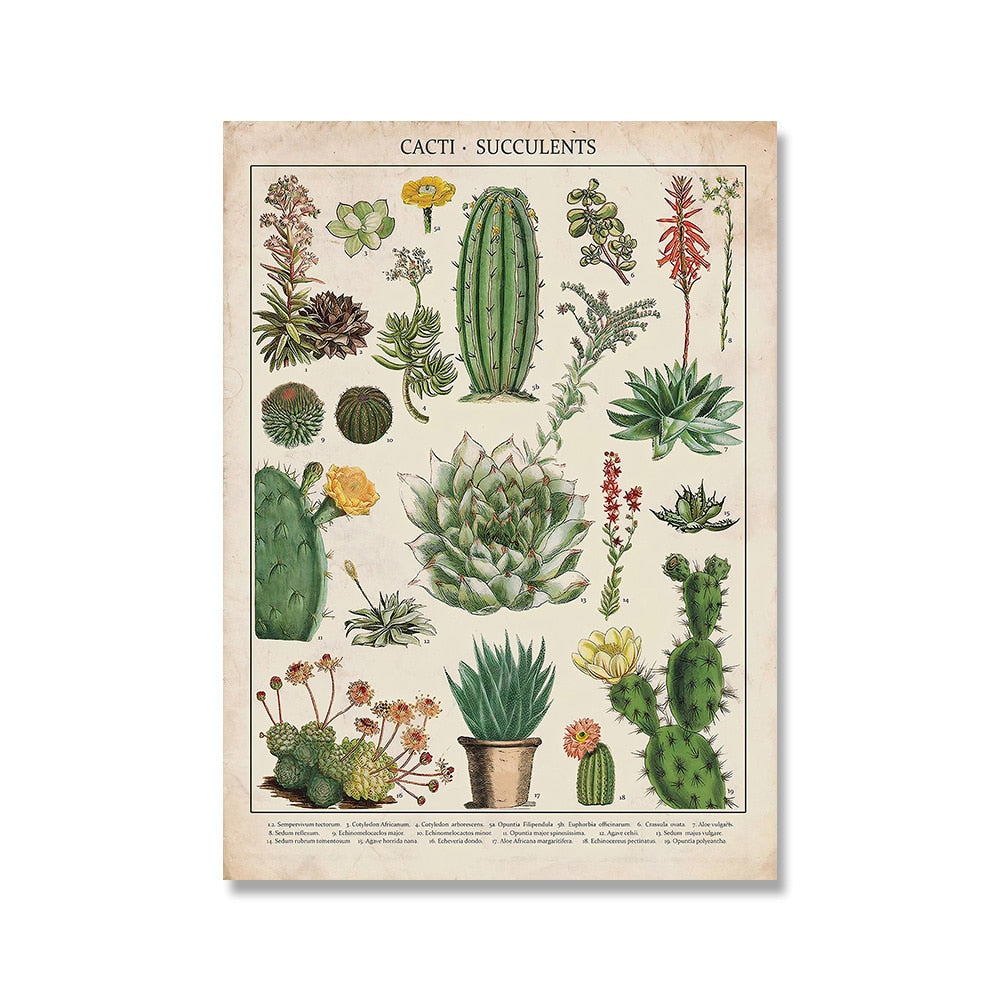 Vintage Botanische Prints Canvas Collectie - Klassieke Plantentekeningen Wanddecoratie