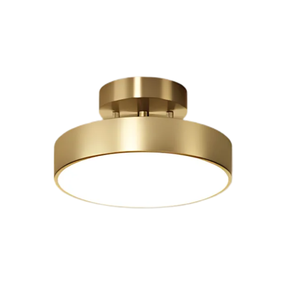 Ronde plafondlamp met instelbaar LED-licht touch-bediening dimbaar voor woonkamer slaapkamer moderne verlichting