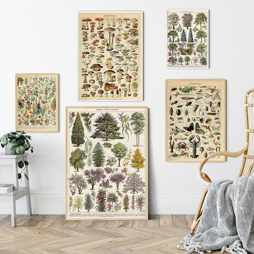 Vintage Botanische Prints Canvas Collectie - Klassieke Plantentekeningen Wanddecoratie