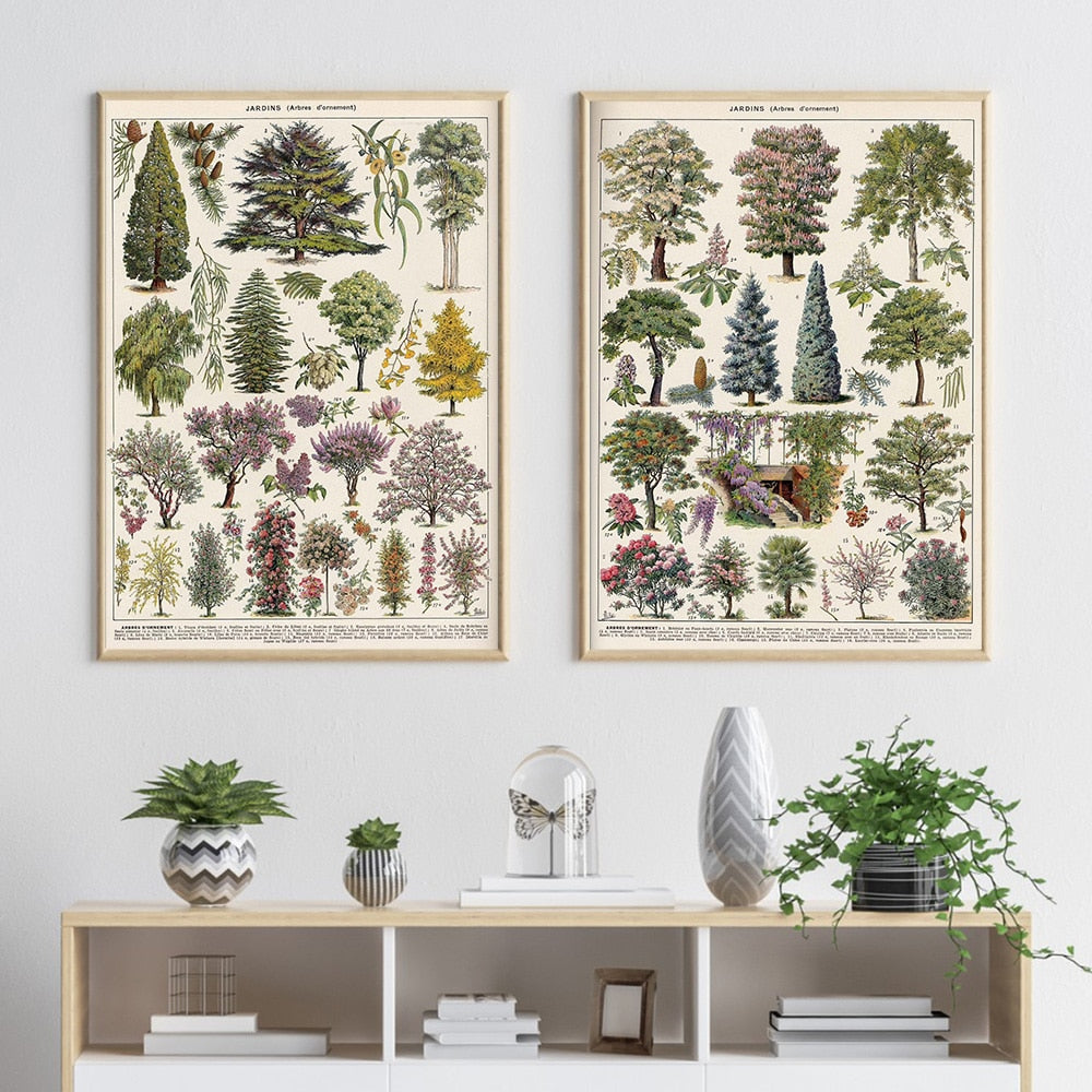 Vintage Botanische Prints Canvas Collectie - Klassieke Plantentekeningen Wanddecoratie