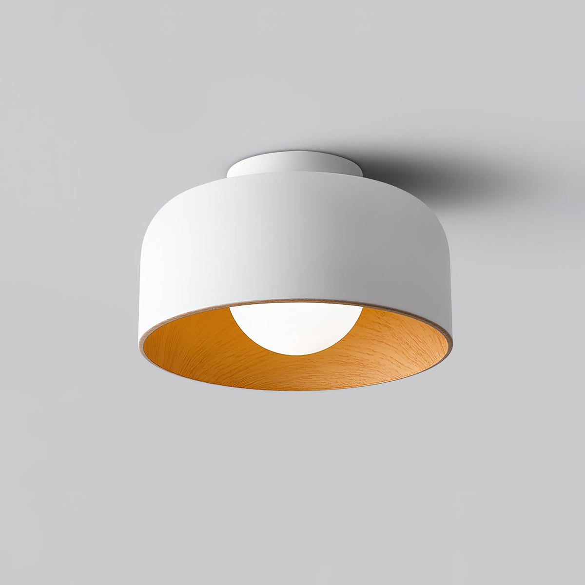 Ronde Plafondlamp met Houtnerf Interieur Glazen Bol ∅22 cm voor Hal Keuken Slaapkamer Wandmontage G9 Fitting