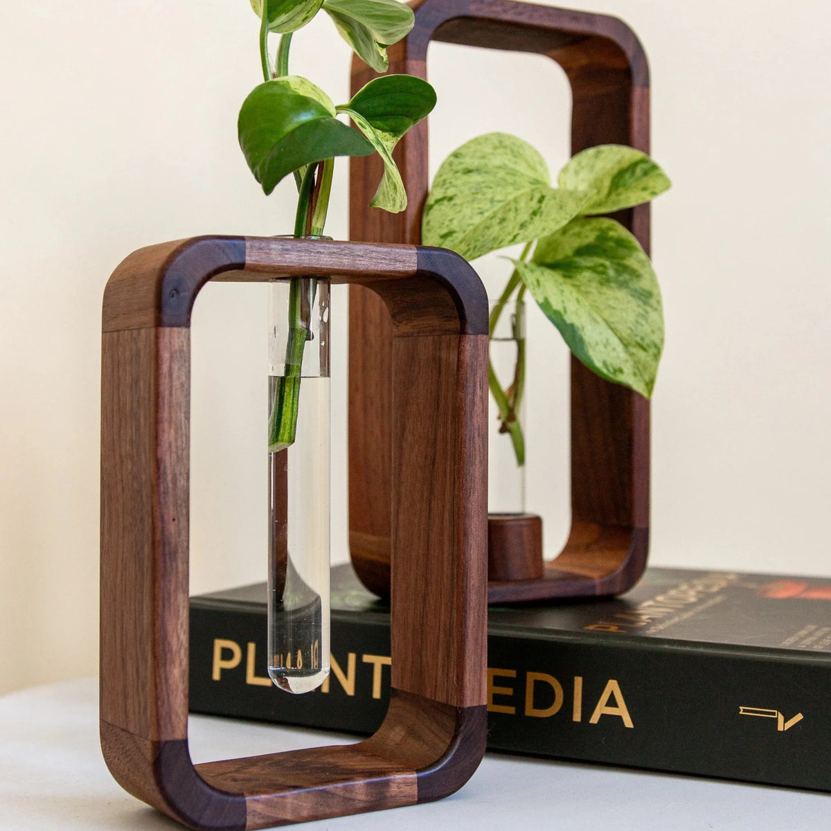 Glazen Plantenvaasje met Houten Standaard voor Stekjes en Hydrocultuur