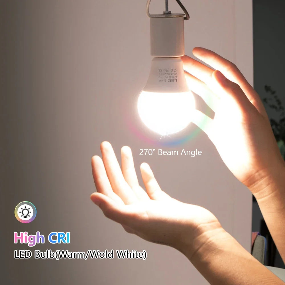 E27 Koud Wit LED Lamp
