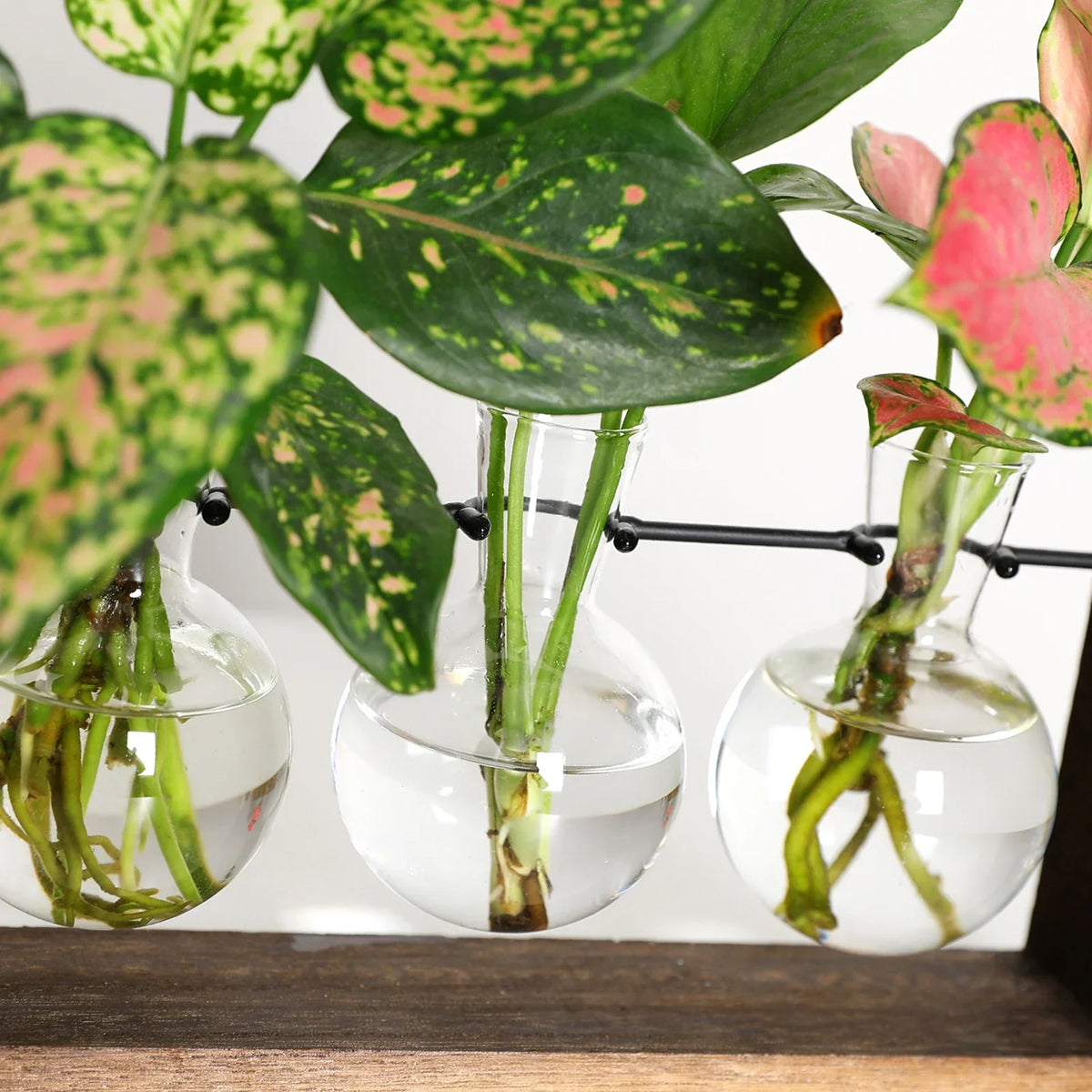 Houten Stekjesstandaard voor Plantenstekjes met Glazen Buisjes | Vintage Decoratie voor Tafel