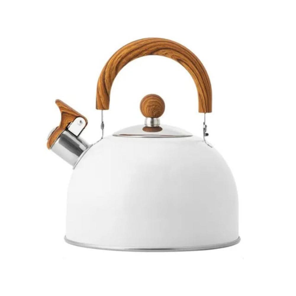 RVS Fluitketel 3L - Snelle Verwarming & Ergonomische Handgreep