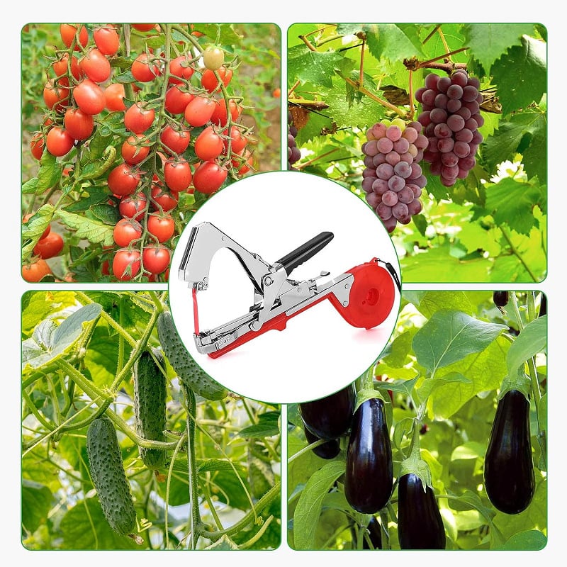 Plantensteun Bindmachine voor Tomaten & Klimplanten - Snelle Bevestiging aan Stokken & Latwerk
