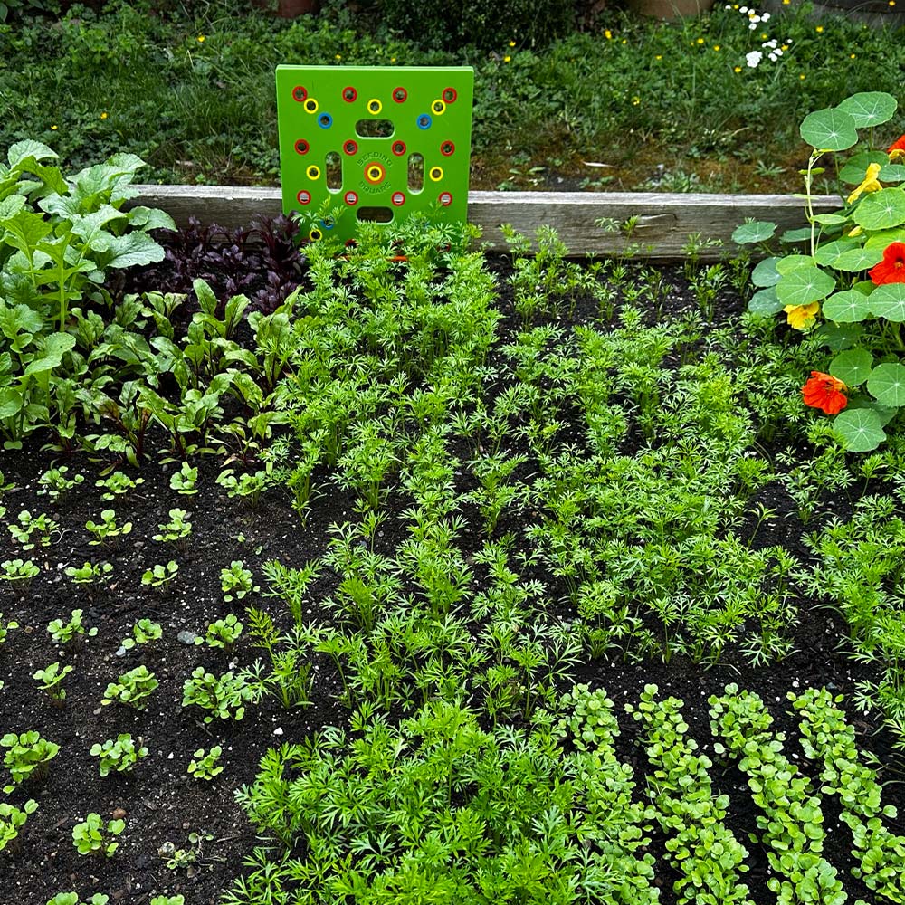 Zaaisjabloon voor Moestuin - Plantafstand Hulpmiddel voor Groenten & Kruiden - 30x30 cm Zaaisjabloon Tuin met Handleiding