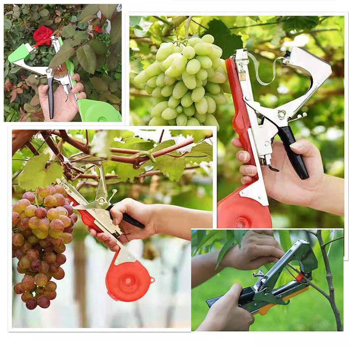 Plantensteun Bindmachine voor Tomaten & Klimplanten - Snelle Bevestiging aan Stokken & Latwerk