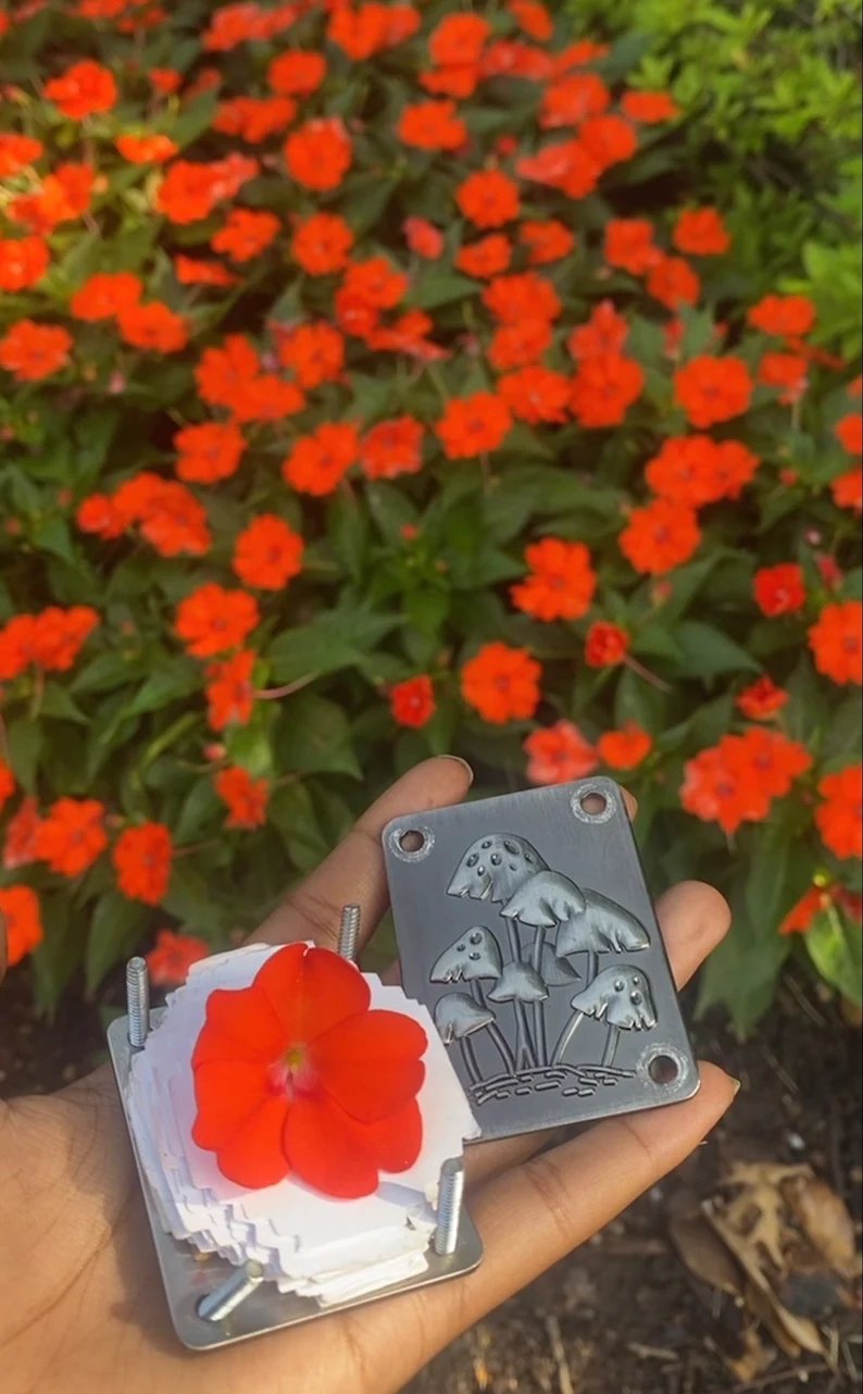 Mini Bloempers Compacte Botanische Herbarium Pers Draagbaar Bloemen Drogen Handwerk Tool Bladeren Persen Natuurbewaartool