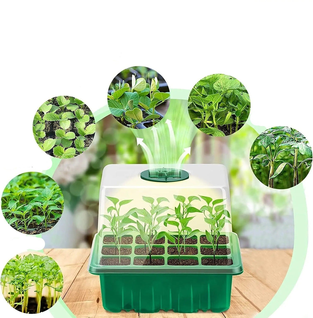 Zaaitray met Groeilamp LED voor Zaailingen en Stekjes Binnen Buiten Kweekbak Groeisysteem Tuinbouw Moestuin