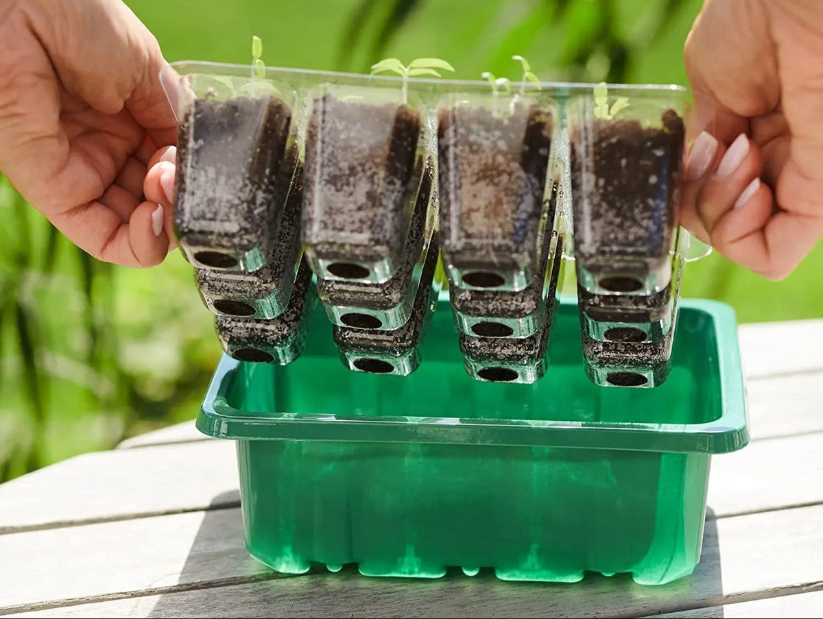 Zaaitray met Groeilamp LED voor Zaailingen en Stekjes Binnen Buiten Kweekbak Groeisysteem Tuinbouw Moestuin