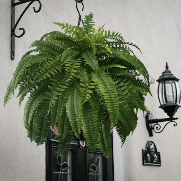 Kunstmatige Varen Hangplant UV-Bestendig PVC Groen Cascaderend voor Pot Mand Balkon Terras Binnen Buiten