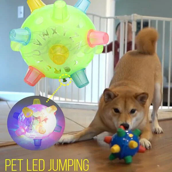 Interactieve Springbal met LED-Verlichting voor Honden Stimulerend Hondenspeelgoed Bewegingsactivatie