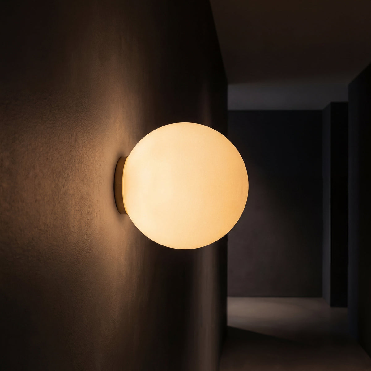 Ronde Wandlamp met LED Verlichting Ø12-20cm Geïntegreerde Lichtbron Hal Slaapkamer Badkamer Modern Design