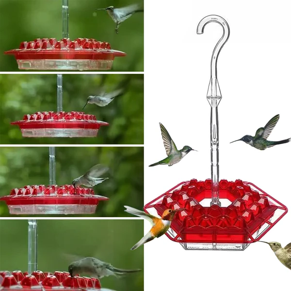 Kolibri Voederstation met 30 Voedingsopeningen Mierengracht Ophanghaak Tuindecoratie Vogelvoedering Tuin