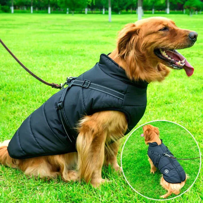 Gewatteerde Hondenjas Winter Waterdicht met Fleece Voering Ingebouwd Tuigje Reflectie Warme Hondenbescherming