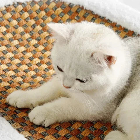 Krabbed voor Katten - Comfortabel Rustbed met Kraboppervlak