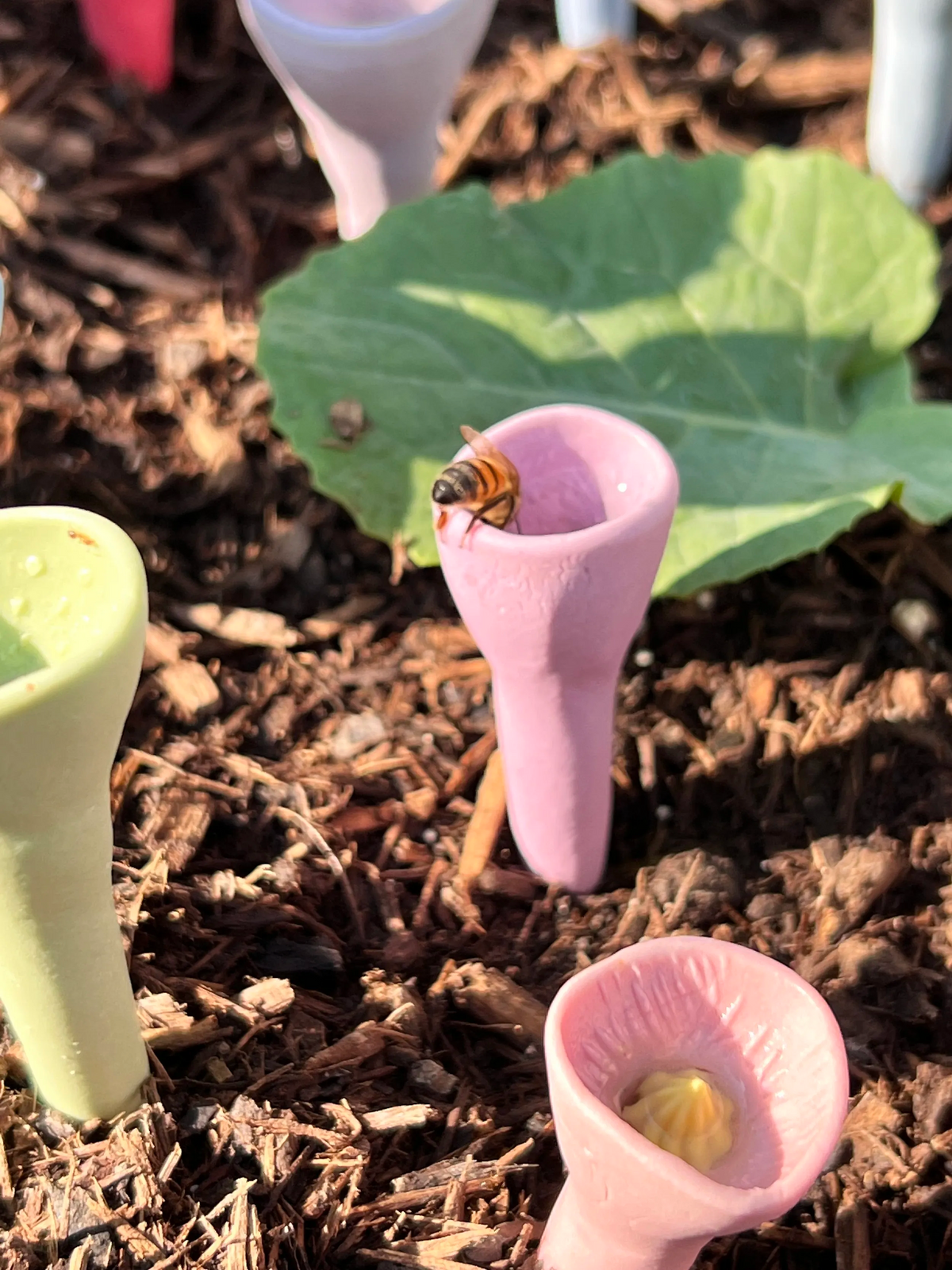 Voederstation voor Bijen en Vlinders - Set van 5 Drinkbekers - Tuinwaterbron voor Bestuivers - Helpt Bijen Hydrateren - Milieuvriendelijk Materiaal - Ideaal voor Bijvriendelijke Tuin