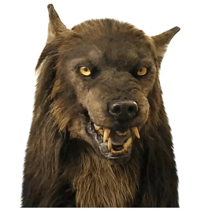 Weerwolf Masker Halloween Cosplay Party Carnaval Feestmasker Realistisch Siliconen Dierenmasker Verkleedkleding