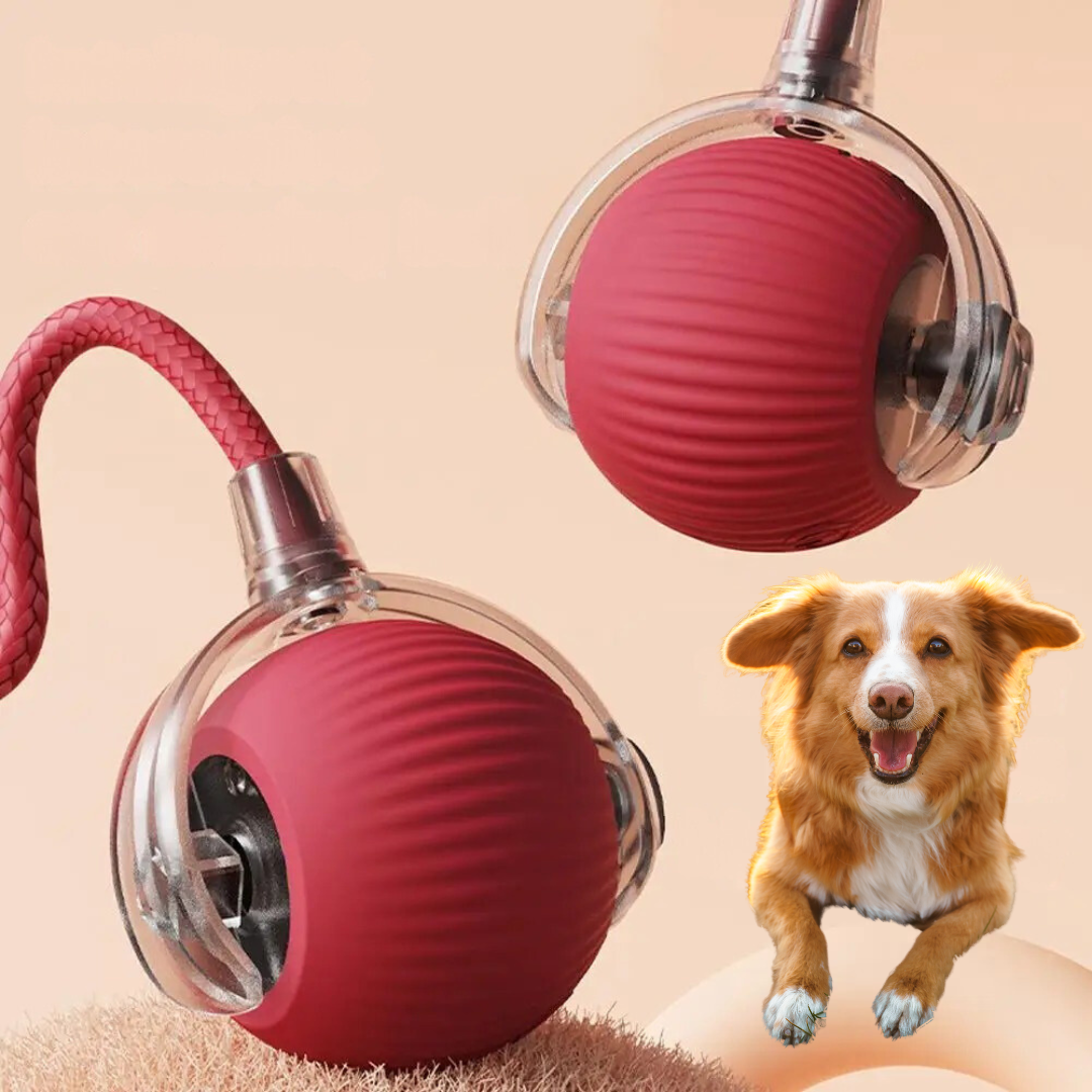Interactieve Rollende Bal met Staart voor Honden Actief Speelgoed Bewegingsstimulatie Huisdier Hondenspeelgoed